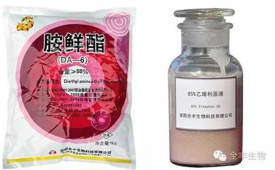 植物生长调节剂在麻类作物上的应用研究